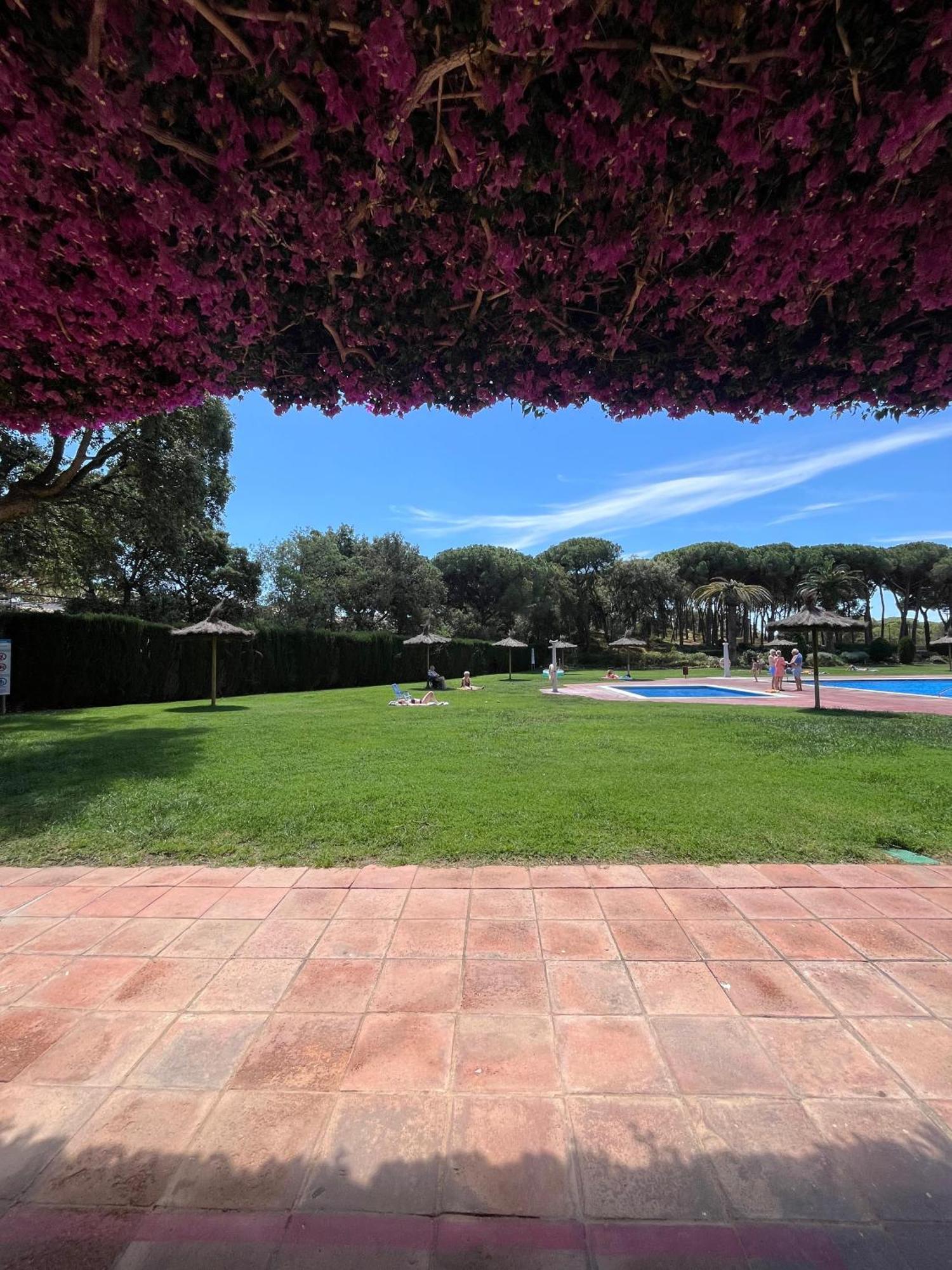 Calella De Palafrugell - Piso Reformado Con Piscina, Wifi Y Parking Gratuito Apartment Ngoại thất bức ảnh